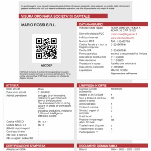 Visura Camerale - Geometra.me